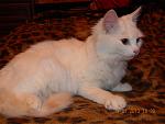     
: DSCN1979.jpg
: 3
:	104.4 
ID:	5506304