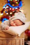     
: DSC_6416ч.jpg
: 15
:	74.5 
ID:	5506471