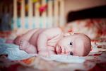     
: DSC_6340ь.jpg
: 17
:	66.3 
ID:	5506486