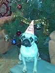     
: IMG_20121230_191839.jpg
: 6
:	120.1 
ID:	5507231