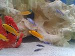     
: 2013-01-13 12.31.09.jpg
: 36
:	119.3 
ID:	5507804