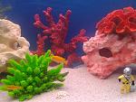     
: 2013-01-13 12.31.39.jpg
: 31
:	157.7 
ID:	5507807