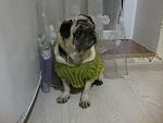     
: Мартин в новым к&#.jpg
: 11
:	98.8 
ID:	5508381