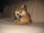     
: IMG_4384.jpg
: 16
:	106.1 
ID:	5510114