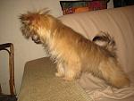     
: IMG_4343.jpg
: 21
:	127.2 
ID:	5510117