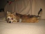     
: IMG_4374.jpg
: 17
:	107.2 
ID:	5510126
