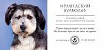     
: QHBJyvQvIwI.jpg
: 3
:	37.7 
ID:	5512839