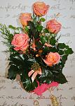     
: DSC_0024.jpg
: 40
:	104.4 
ID:	5513019