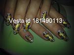     
: 24112011049.jpg
: 3
:	104.3 
ID:	5513592
