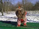     
: 130120131105.jpg
: 12
:	228.9 
ID:	5514825