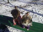     
: 130120131107.jpg
: 11
:	215.1 
ID:	5514827