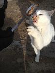     
: 8gkdNwjEdvQ.jpg
: 7
:	139.3 
ID:	5518132