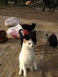     
: 5UwEsxVo8dY.jpg
: 9
:	162.8 
ID:	5518133