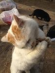     
: 3ERxTUMtavQ.jpg
: 6
:	135.9 
ID:	5518134