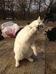     
: zzx8hW5_9Is.jpg
: 9
:	194.0 
ID:	5518135