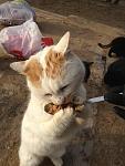     
: b7lsJ-GNNLU.jpg
: 6
:	125.5 
ID:	5518138