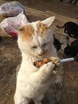     
: R3SkBRk0YyQ.jpg
: 7
:	148.6 
ID:	5518139