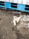     
: 5MpGMKFvhmI.jpg
: 5
:	206.1 
ID:	5518160