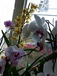     
: P1000695.jpg
: 9
:	101.5 
ID:	5519543