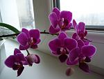     
: DSC02293.jpg
: 3
:	89.4 
ID:	5523331