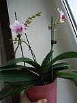     
: DSC02309.jpg
: 5
:	56.9 
ID:	5523349