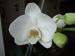     
: DSC02312.jpg
: 2
:	54.6 
ID:	5523394
