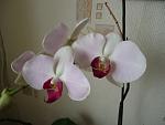     
: DSC02291.jpg
: 5
:	77.7 
ID:	5523395