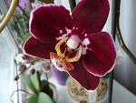     
: DSC02302.jpg
: 2
:	90.3 
ID:	5523396