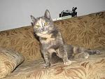     
: DDnkCmzpG3E.jpg
: 7
:	292.9 
ID:	5523744