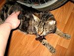     
: IMG_1496.jpg
: 8
:	171.8 
ID:	5525360