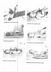     
: New Scan-20130117175107-00004.jpg
: 9
:	65.7 
ID:	5527477