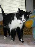     
: 3c845557726e.jpg
: 6
:	35.0 
ID:	5530035