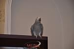     
: F22_4828.jpg
: 28
:	41.1 
ID:	5531601