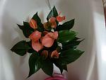     
: P1010158.jpg
: 253
:	84.7 
ID:	5533226