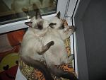     
: IMG_3900.jpg
: 4
:	109.4 
ID:	5533674