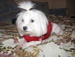     
: IMG_6271.jpg
: 14
:	128.0 
ID:	5533961