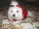    
: IMG_6280.jpg
: 10
:	136.7 
ID:	5533962