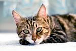     
: bonya_post.jpg
: 12
:	106.3 
ID:	5536444