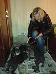    
: 20130118_200553.jpg
: 7
:	74.6 
ID:	5536862