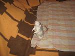     
: IMG_7700.JPG
: 12
:	161.9 
ID:	5539276