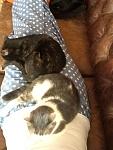     
: IMG_0365.jpg
: 4
:	271.9 
ID:	5540012