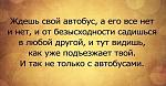     
: ADd1JqZvRbw.jpg
: 7
:	43.3 
ID:	5541323