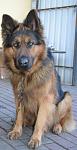     
: DSC_0024.jpg
: 16
:	64.6 
ID:	5541610