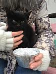     
: xP2m-uven2E.jpg
: 31
:	161.2 
ID:	5541972