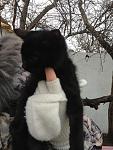     
: OwCy-DYnHUg.jpg
: 22
:	173.5 
ID:	5541974