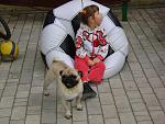     
: DSC04556.jpg
: 21
:	124.6 
ID:	5543645