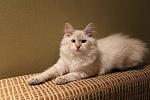     
: IMG_3363.jpg
: 6
:	157.0 
ID:	5546578