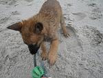     
: IMG_4130.jpg
: 8
:	147.9 
ID:	5547882