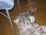     
: IMG_4143.jpg
: 7
:	162.3 
ID:	5547909