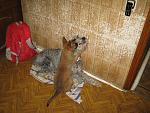     
: IMG_4119.jpg
: 9
:	214.8 
ID:	5547917